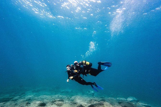 Try Dive in Tenerife - Key highlights at a glance