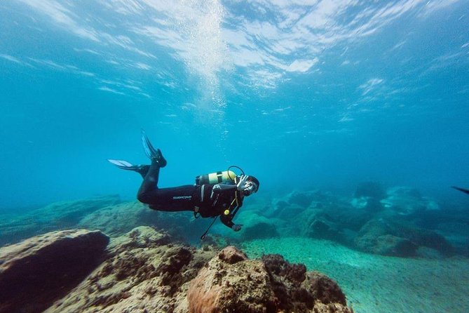 Try Dive in Tenerife - Gear provided, plus why comfort is part of the value
