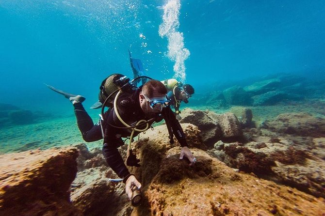 Try Dive in Tenerife - The Puertito de Adeje water time: gear, briefing, and sea life spotting