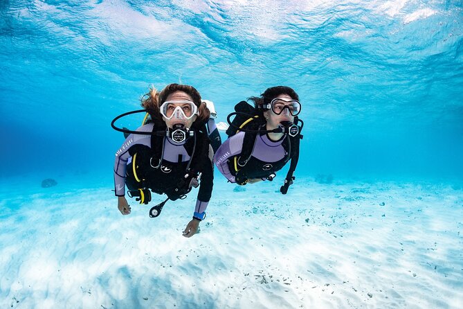 Try Dive - PADI Discover Scuba Diving in Tenerife - Getting set up at Scubanana in Radazul (3:00 pm start, small group)