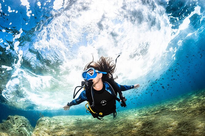 Try Dive - PADI Discover Scuba Diving in Tenerife - What you might see off Tenerife, and why sea life matters for first-timers