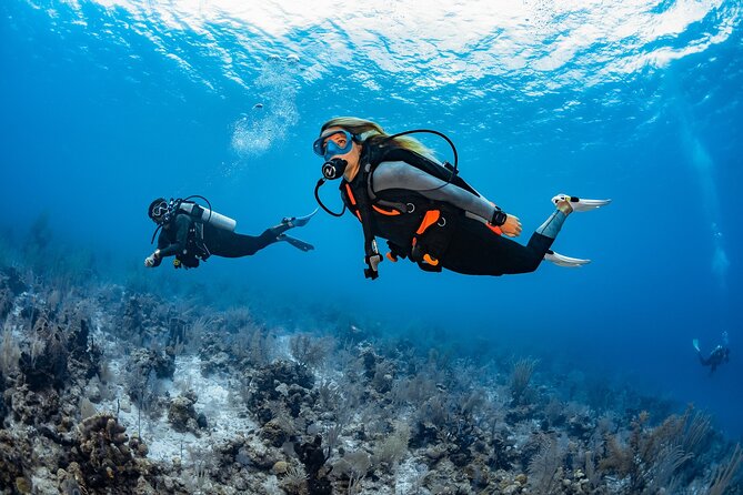 Try Dive - PADI Discover Scuba Diving in Tenerife - The land training first, so you know what to do underwater