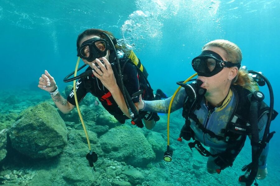 Try diving for the first time in turtle area - Safety Rules You Must Know Before You Go (Especially the No-Fly Window)