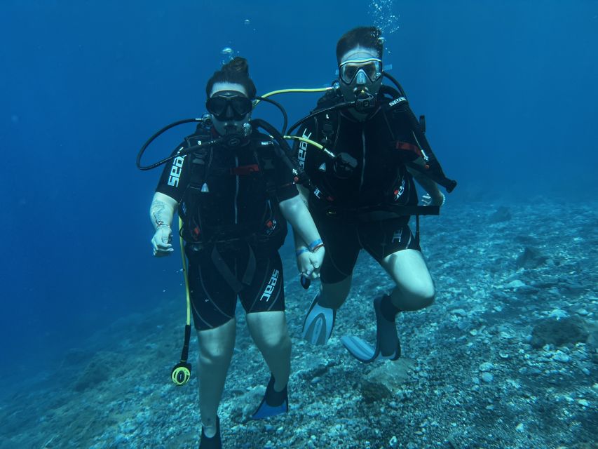 Try diving for the first time in turtle area - Land Practice First: The Movements That Make Underwater Time Feel Manageable