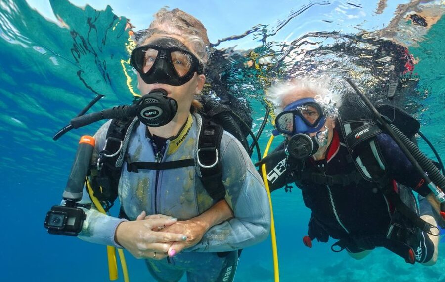 Try diving for the first time in turtle area - Going Underwater at a Relaxed Pace, With a Spot That Can Change