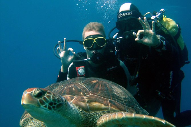 Try Scuba Diving in a turtle area (boat) - Key Things That Make This Try Scuba Session Worth It