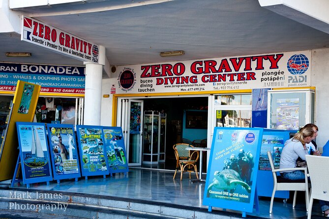Try Scuba Diving in a turtle area (boat) - Stop 1: The Zero Gravity Try Session, From Skills to Calm Water Time