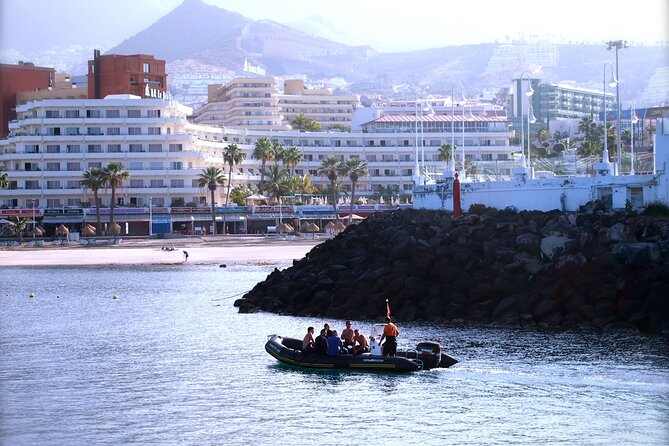 Try Scuba Diving in a turtle area (boat) - Price and Value: What $84.66 Covers in Real Terms