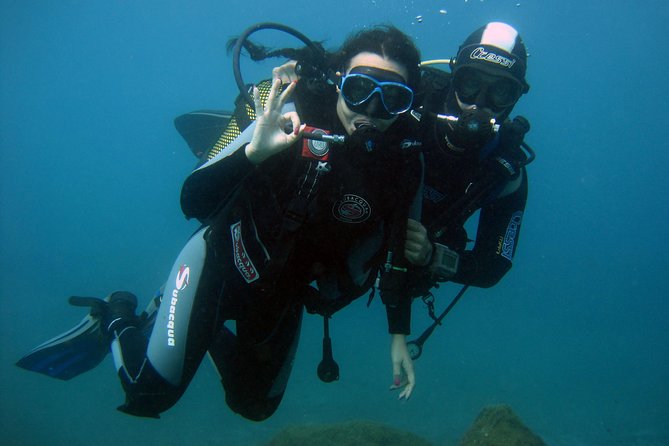 Try Scuba Diving in a turtle area (boat) - What Your Instructor Really Does (And Why It Matters for First-Time Scuba)