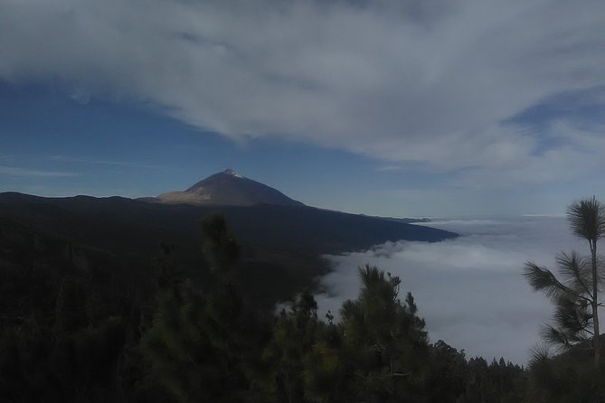 Volcano Teide National Park And North Of The Island VIP TOUR - Key Things You’ll Like About This VIP Teide Tour
