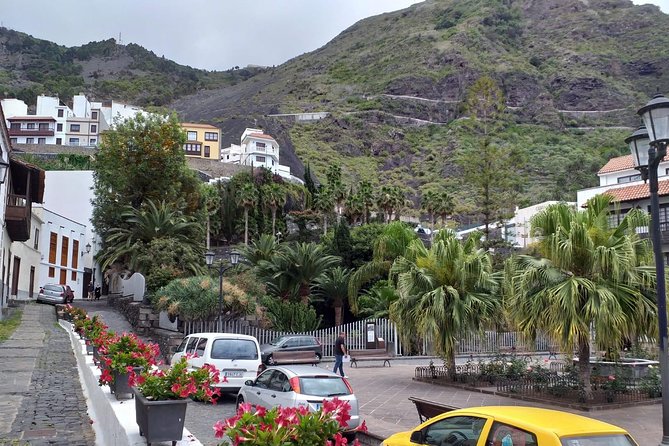 Volcano Teide National Park And North Of The Island VIP TOUR - Teide National Park Stops That Aim for Better Timing