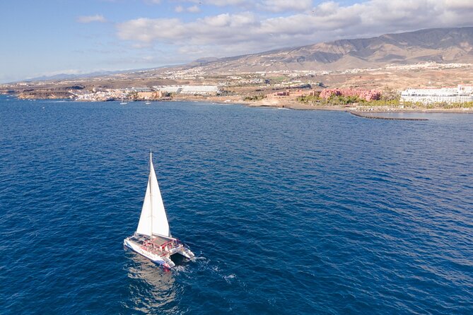 Watching and Listening Whales visiting Los Gigantes&Masca. Food&drinks included - Masca Bay anchor stop: swim, sun, and realistic snorkeling expectations