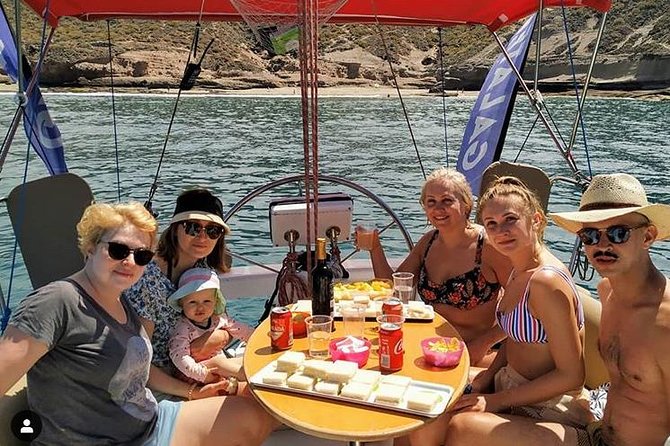 Whale and Dolphin Small Group Sailing from Tenerife South - Key things to know before you go