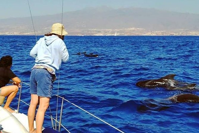 Whale and Dolphin Small Group Sailing from Tenerife South - Why this Tenerife whale and dolphin sail feels more personal