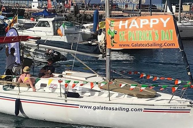 Whale and Dolphin Small Group Sailing from Tenerife South - Snorkeling gear included: how to make the swim stop work