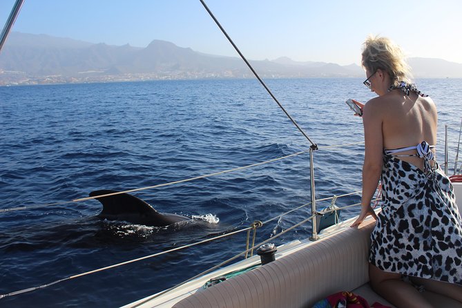 Whale and Dolphin Small Group Sailing from Tenerife South - Entering Puerto Colón in Playa de las Américas (and finding your boat)