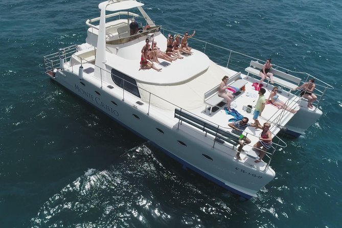 Whale and Dolphin Watching Catamaran with Transfer and Buffet - Key highlights worth getting excited about