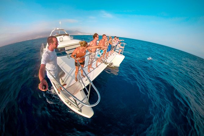 Whale and Dolphin Watching Catamaran with Transfer and Buffet - Getting There From the South of Tenerife, Without Stress