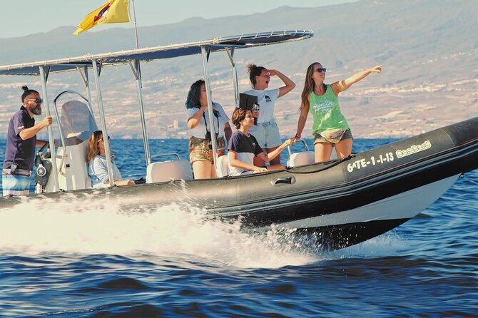 Whale and Dolphin Watching EcoAdventure in Tenerife - What You Might Spot in Tenerife Waters
