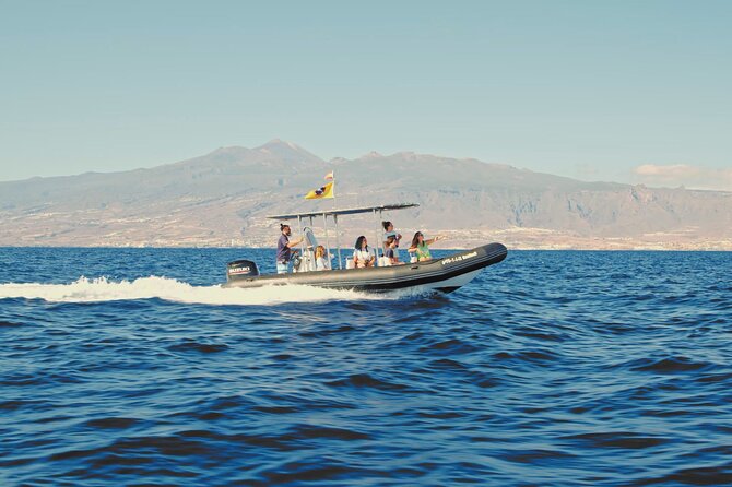 Whale and Dolphin Watching EcoAdventure in Tenerife - Should You Book This Eco Whale Watching Tenerife Experience?