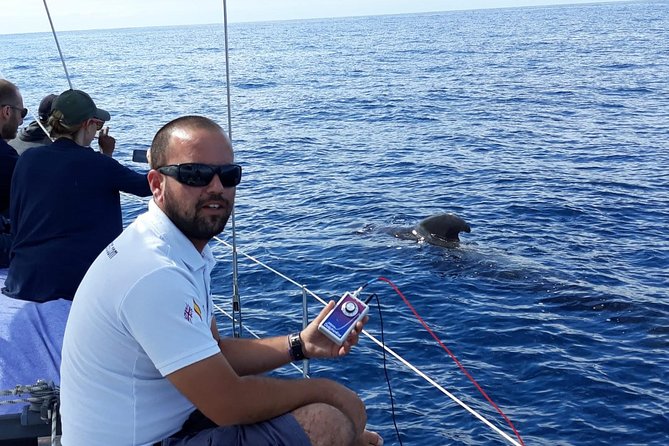 Whale and Dolphin Watching Sailing Boat with Drinks, Snacks and Swimming Time - The captain factor: what makes Guy, Alex, Dani, and Maximilian stand out