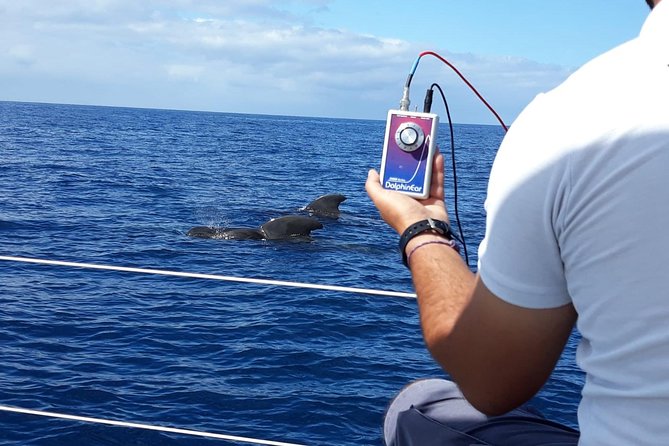 Whale and Dolphin Watching Sailing Boat with Drinks, Snacks and Swimming Time - Who this sailing cruise is best for