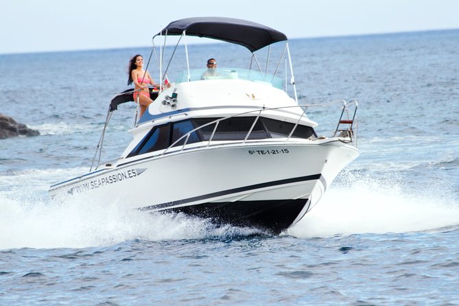 Whale and dolphin watching tour Los Gigantes and Masca in small groups - Key things I’d plan around