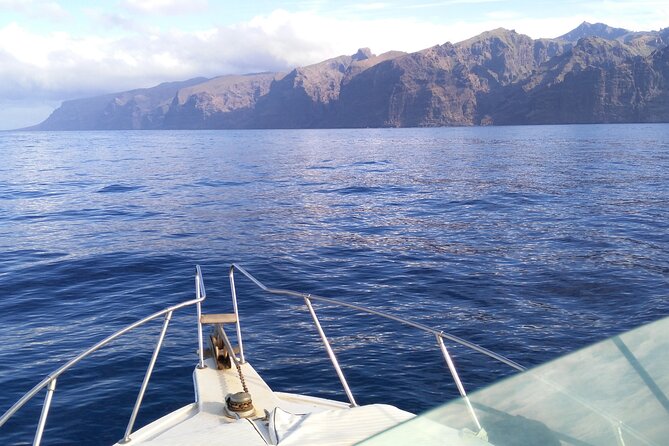 Whale and dolphin watching tour Los Gigantes and Masca in small groups - Who this tour fits best (and who might want a different plan)