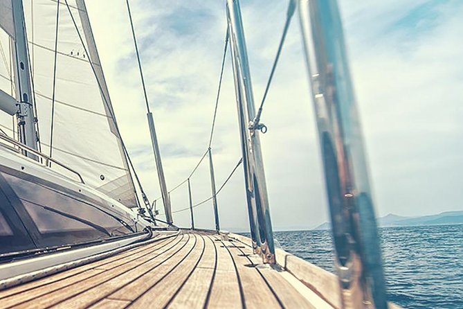 Whale and Dolphin Watching Yacht Trip in Puerto Colon - Captain-led spotting: why live commentary matters