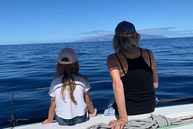 Whale and Dolphin Watching Yacht Trip in Puerto Colon - Sunset option at 19:00: great idea, different trade-off