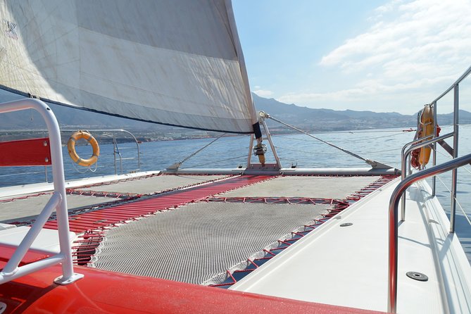 Whale Watching and Listening Eco Catamaran Tour with Food Tasting - Key things I’d zero in on before you book