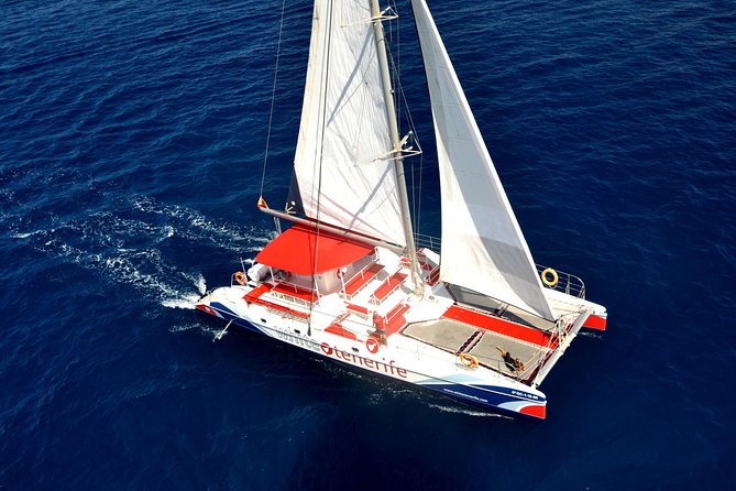 Whale Watching and Listening Eco Catamaran Tour with Food Tasting - On Board Comfort: What to Expect From the Catamaran Setup