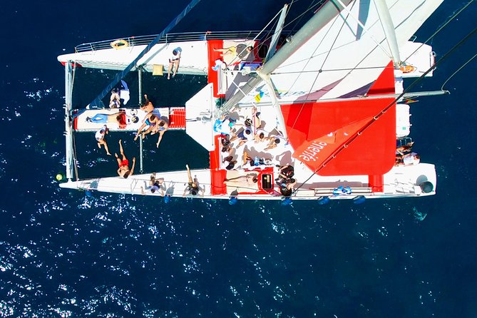 Whale Watching and Listening Eco Catamaran Tour with Food Tasting - Cruising Near Los Gigantes and Masca Bay: Stunning Coasts That Add Value