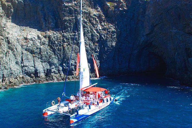 Whale Watching and Listening Eco Catamaran Tour with Food Tasting - Drinks, Music, and the Crew Vibe: Why People Rate This So High