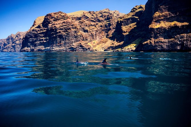 Whale Watching and Listening Eco Catamaran Tour with Food Tasting - Weather and Sailing Reality: The One Thing You Cannot Control