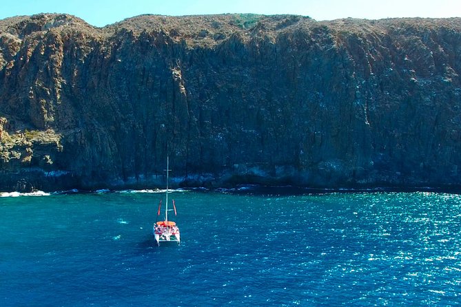 Whale watching and listening Eco-Catamaran Tour with Food Tasting - The Whale and Dolphin Search: What the “Listening” Part Actually Gives You