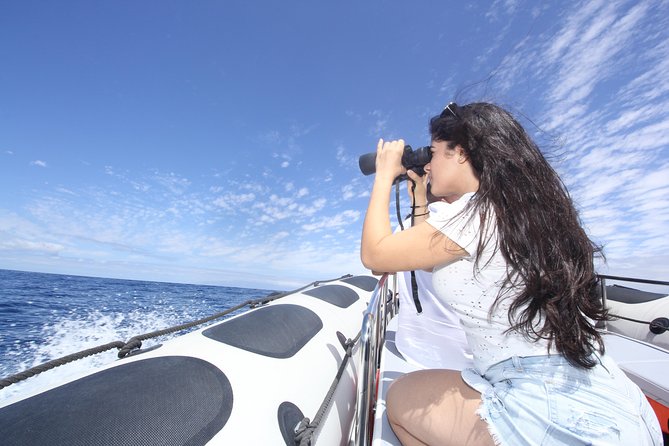Whale Watching and Marine Science Tour - Hands-on tools: hydrophones and sound recording that make you pay attention