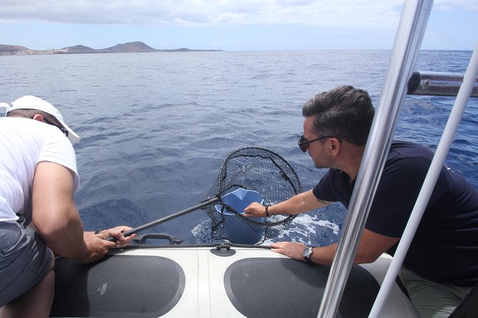 Whale Watching and Marine Science Tour - Group size, guide attention, and why it feels intimate on a 2.5 hour trip