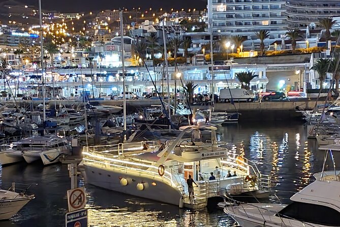 Whale Watching Catamaran Cruise with Transfer, Buffet by MC - Who This Trip Suits Best (and Who Might Want a Different Option)