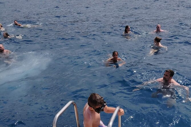 Whale Watching Catamaran in Costa Adeje (Including drinks & Sandwich) - Open bar and sandwiches, the value side of the price