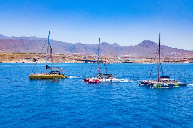 Whale Watching Catamaran in Costa Adeje (Including drinks & Sandwich) - Boat comfort on a 160-person catamaran