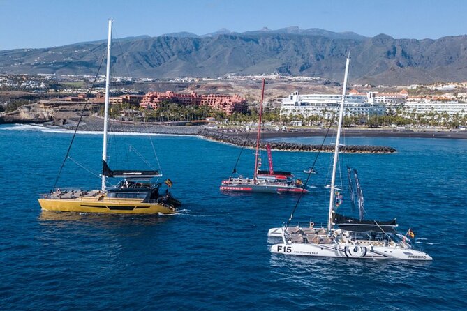 Whale Watching Catamaran in Costa Adeje (Including drinks & Sandwich) - Onboard guidance, commentary style, and photo pressure