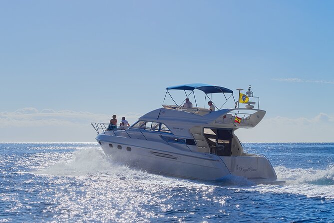Whales and Dolphins excursion on a Luxury Yacht in Canary Islands - Key highlights you will feel right away