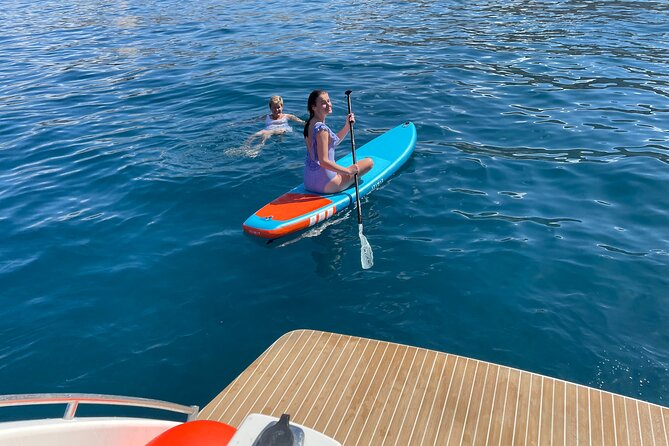 Whales and Dolphins excursion on a Luxury Yacht in Canary Islands - Whale and dolphin spotting reality check, because nature does not follow schedules