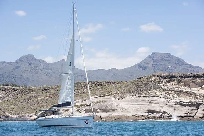 Whales & Dolphins watching in exclusive sailboat - Snacking, Sun, and Trade Winds: What the On-Board Time Adds