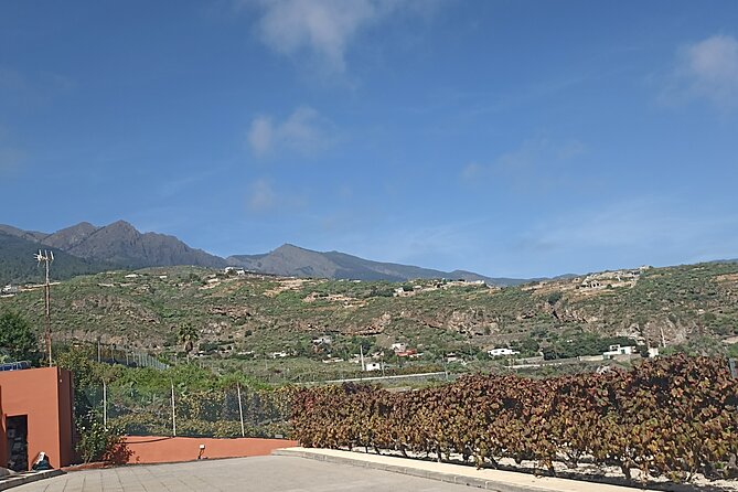 Wine, Canarian Tapas, Culture, VIP Private tour - photos included - Vilaflor at 1,400 Meters: Old Houses, Colonial Church, and Pine Forest Quiet