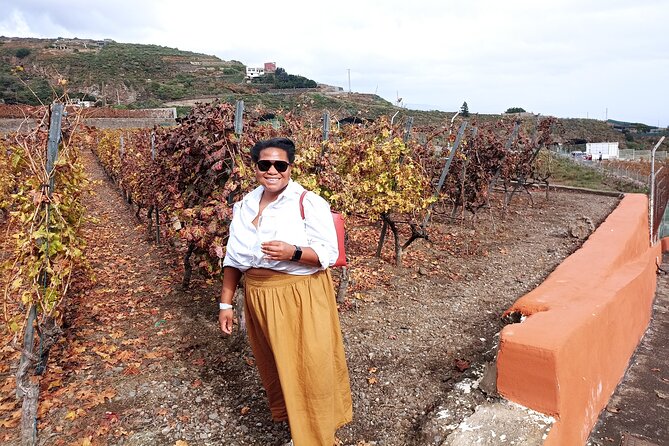 Wine, Canarian Tapas, Culture, VIP Private tour - photos included - Candelaria Basilica and the Promenade of Guanche Kings