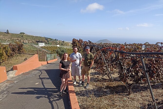 Wine, Canarian Tapas, Culture, VIP Private tour - photos included - Price and Logistics: Is $396.97 Worth It for a Private Group?