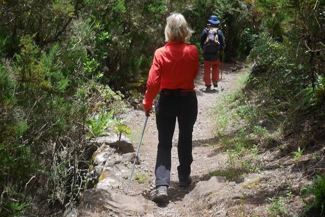 Wonderful hike through the Magic Forest of Tenerife - Route basics: time, distance, altitude, and why the hike still feels manageable