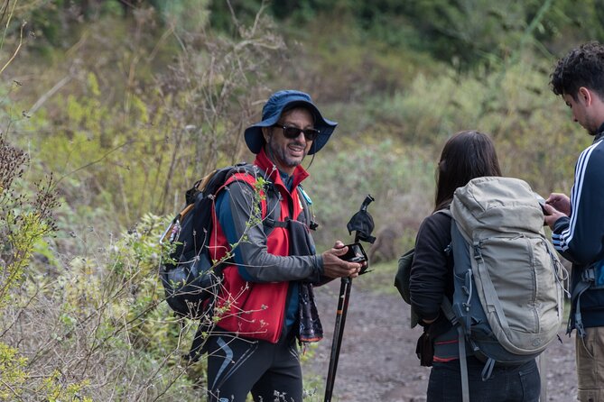 Wonderful hike through the Magic Forest of Tenerife - What is included versus not included, and how to budget your hike